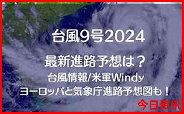 最新爆料澳门值得关注管家婆深度解读100正确全攻略-王中王493333特马王中王